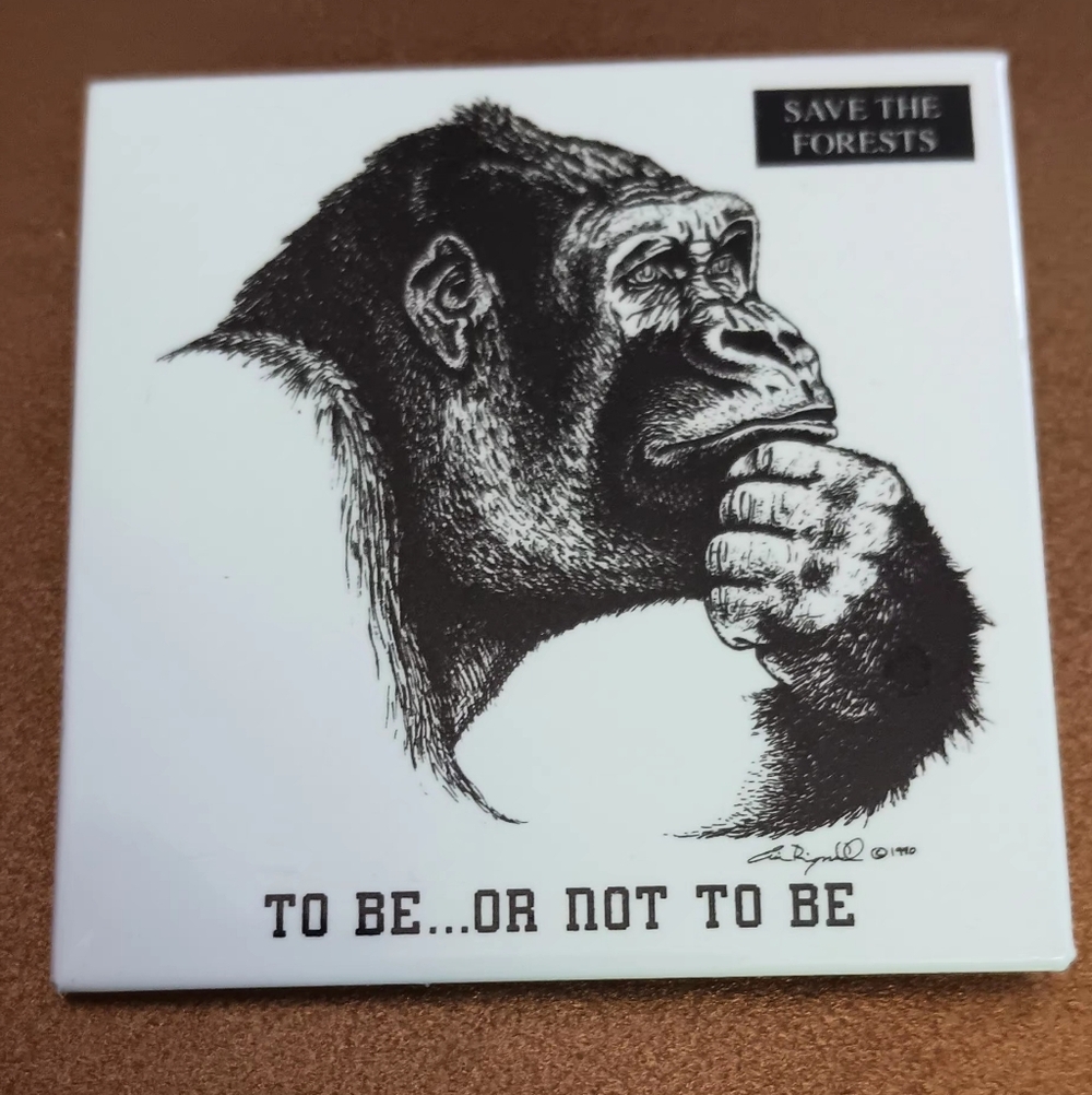 To Be..or Not To Be Pinback